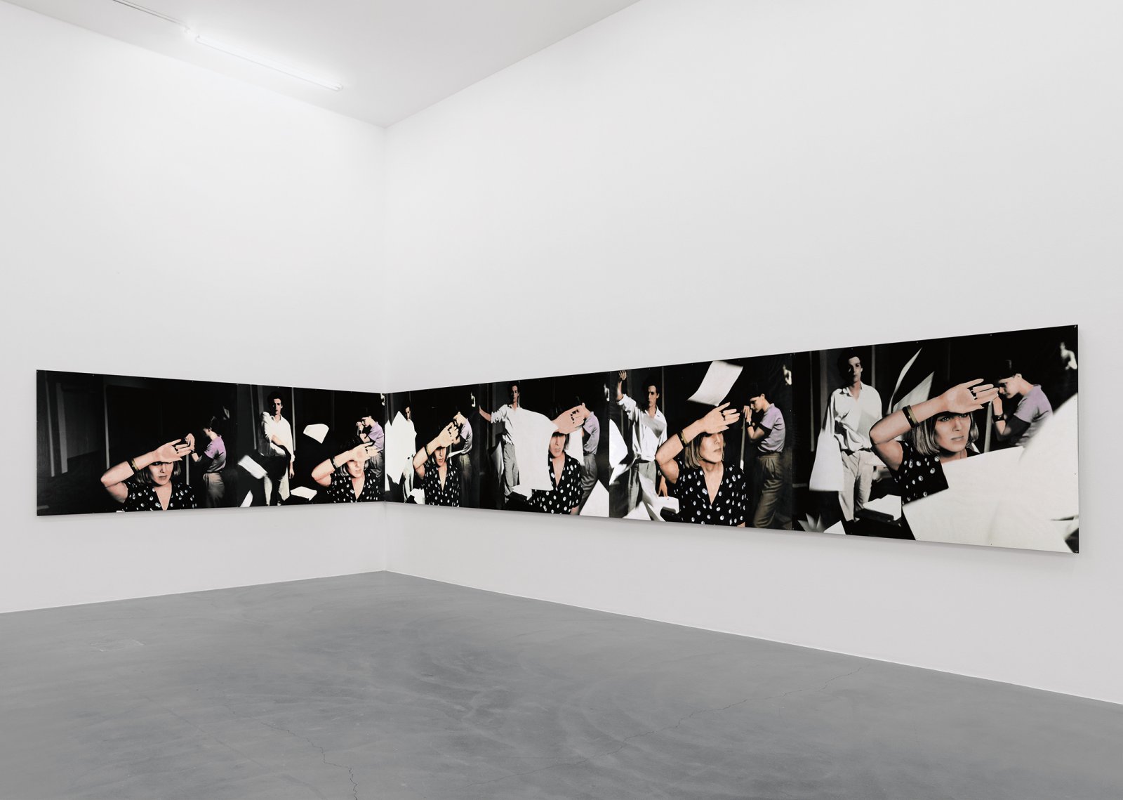 Ian Wallace, An Attack on Literature I &amp; II, 1975, 12 hand-coloured black and white photographs, each 48 x 69 in. (123 x 174 cm). Installation view, A Literature of Images, Kunsthalle Zürich, 2008