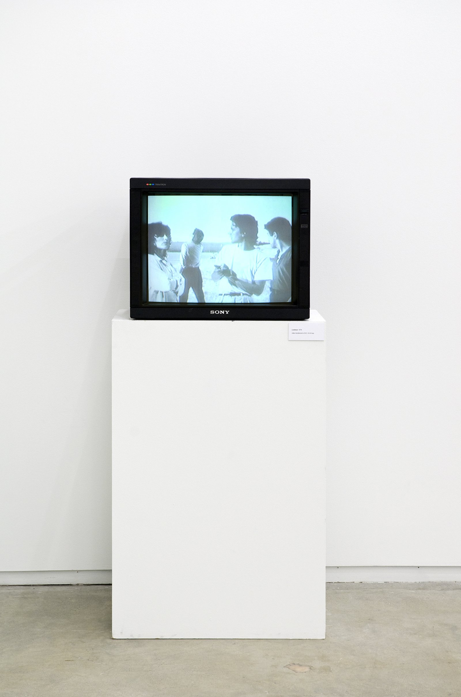Ian Wallace, Lookout, 1979, 3/4 inch video transferred to DVD, 32 minutes, 42 seconds looped
