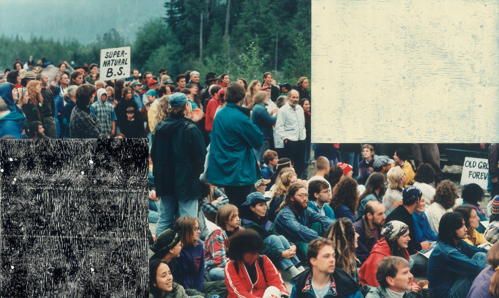 Ian Wallace, Clayoquot Protest (August 9, 1993) IV, 1993–1995, photolaminate with acrylic on canvas, 72 x 120 x 1 in. (184 x 306 x 3 cm)