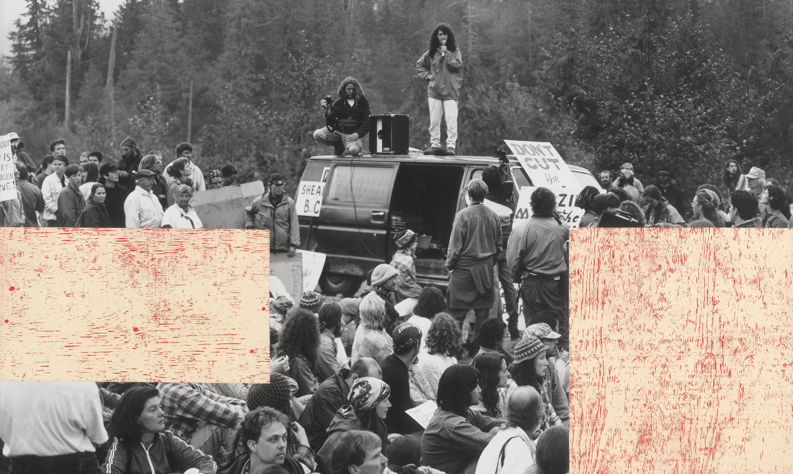Ian Wallace, Clayoquot Protest (August 9, 1993) VII, 1993–1995, photolaminate with acrylic on canvas, 72 x 120 x 1 in. (184 x 305 x 4 cm)