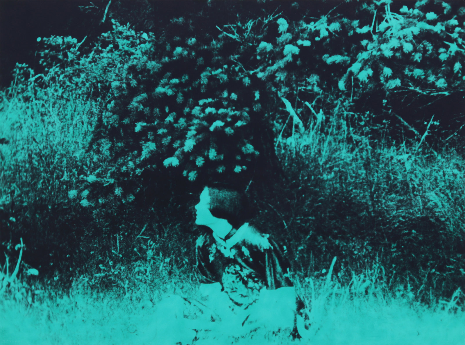 Ian Wallace, L’Après Midi I, II, III (detail), 1977–1979, 9 hand-coloured black and white photographs, 36 x 332 in. (91 x 843 cm)