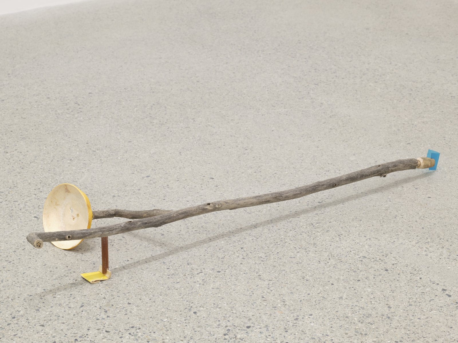 Ashes Withyman, Seagull feather floating, the smell of hot roof-tar also floating, 2019, branches, plastic, compass box cardboard, grapefruit rind, 4 x 30 x 9 in. (10 x 75 x 23 cm)